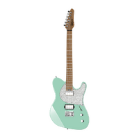 Balaguer Thicket Standard Gloss Pastel Green
