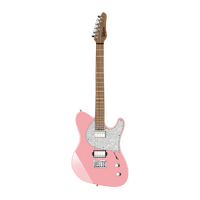 Balaguer Thicket Standard Gloss Pastel Pink